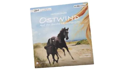 Ostwind Auf der Suche nach Morgen Lea Schmidbauer MP3-CD Hörbuch Kinder