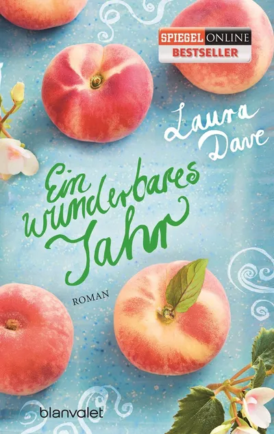 Laura Dave Ein wunderbares Jahr Taschenbuch Gesellschaftsroman Deutsch Blanvalet