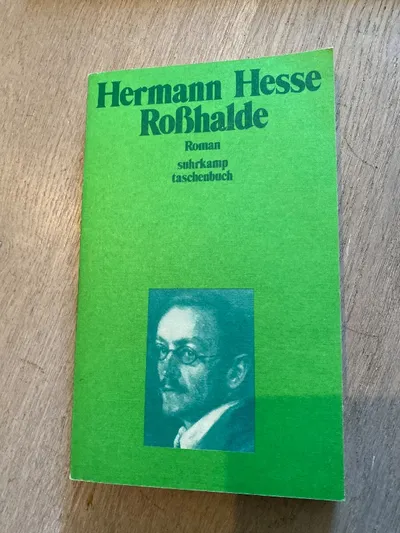 Hermann Hesse Roßhalde Roman suhrkamp Taschenbuch Gesellschaftsroman