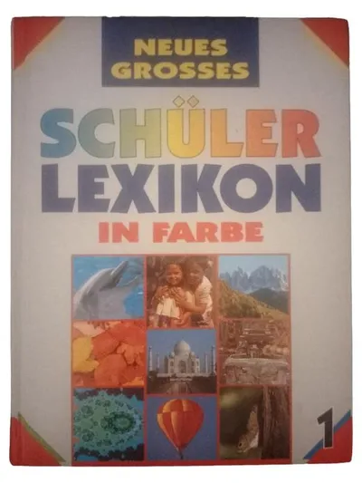 Bertelsmann Schüler-Lexikon Farbe Hardcover Nachschlagewerk Unterricht Deutsch