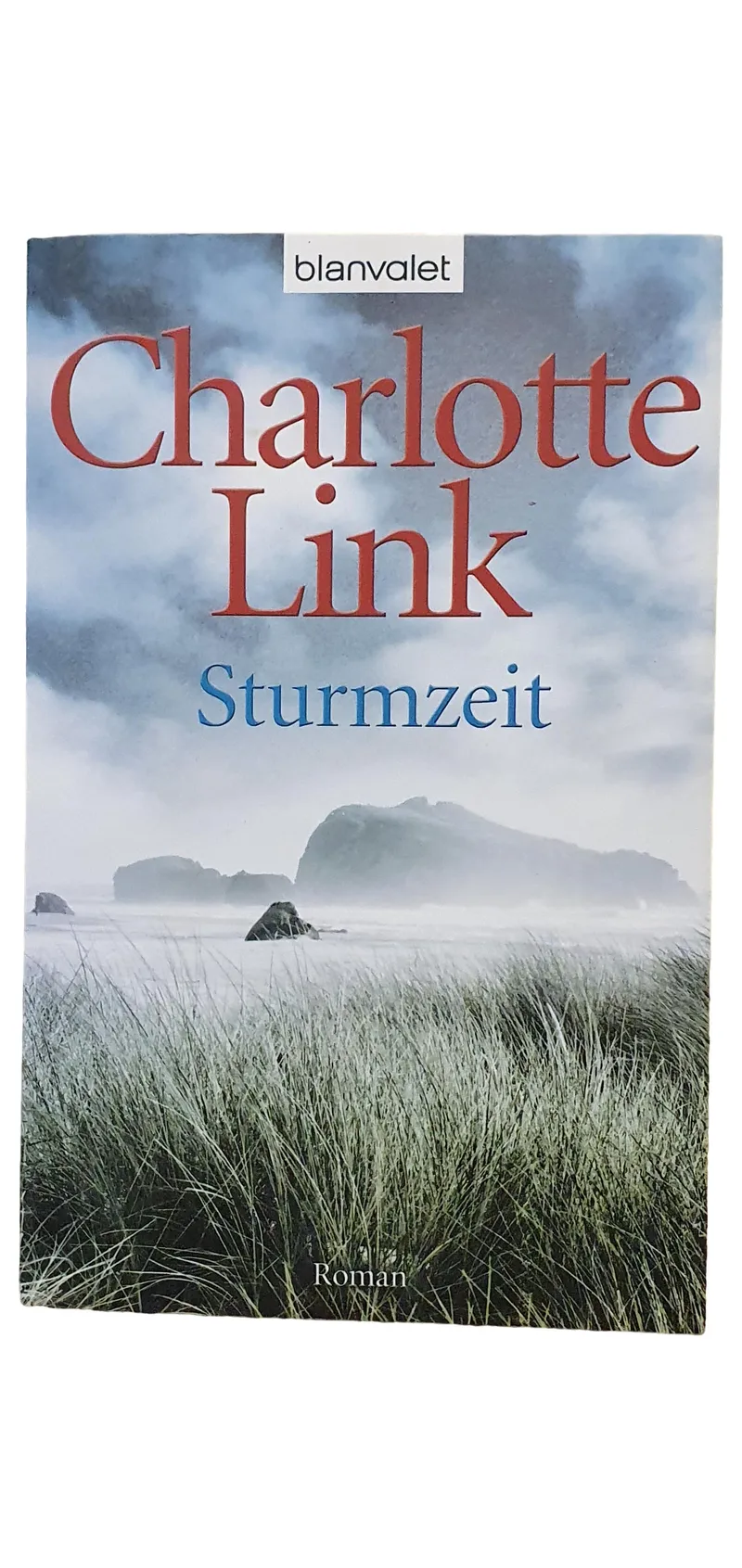Charlotte Link Sturmzeit Roman Taschenbuch Gesellschaftsroman blanvalet 1