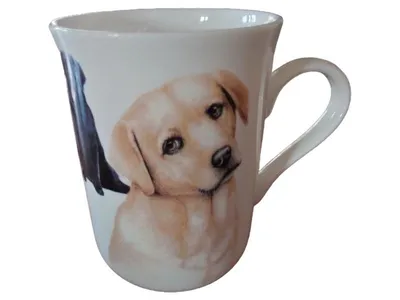 Maxwell & Williams PETS Kaffeetasse Hund Porzellan Weiß 10cm