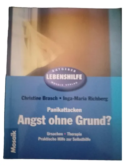 Panikattacken Angst Selbsthilfebuch Christine Brasch Mosaik Taschenbuch