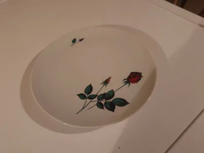 Bavaria Germany Kuchenteller Porzellan Rosenmotiv Weiß 19cm Vintage