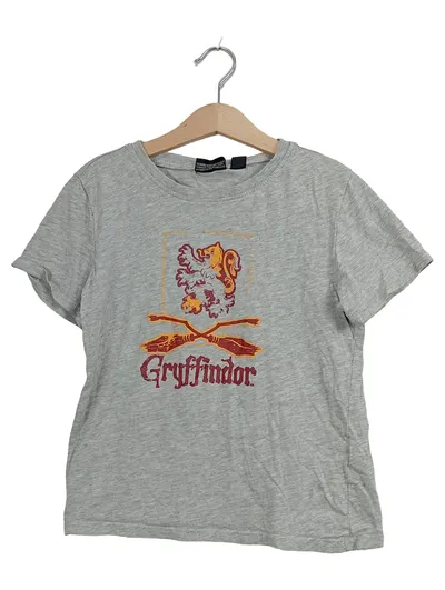 Wizarding World Harry Potter Gryffindor T-Shirt Kinder Gr. 134/140 Grau
