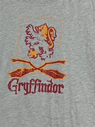 Wizarding World Harry Potter Gryffindor T-Shirt Kinder Gr. 134/140 Grau