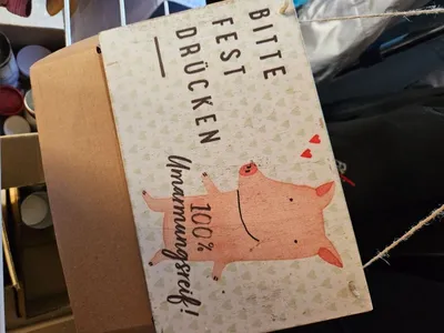 Die Spiegelburg Bitte Fest Drücken Schild Umarmungsreif Schwein Holz Deko