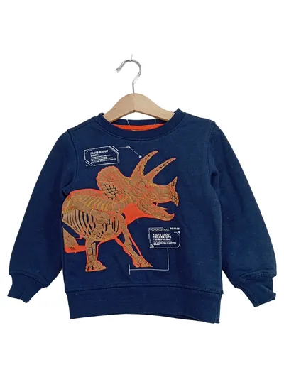 DOPO DOPO Kinder Pullover Gr. 98 Blau Dinosaurier Skelett Triceratops