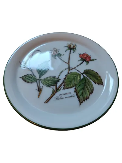 Seltmann Weiden Kuchenteller Waldbeere Steinbeere Porzellan Weiß 10cm Vintage