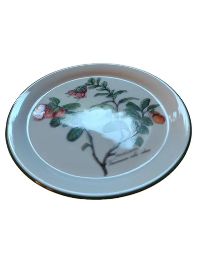 Seltmann Weiden Bavaria Waldbeere Kuchenteller Porzellan Vintage Blumen