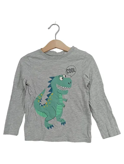 C&A Kinder Langarmshirt Gr. 104 Grau Dinosaurier Cool Dino Print