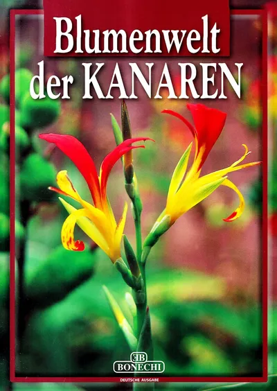 Bruno Foggi Blumen der Kanaren Bildband Taschenbuch Deutsch Bonechi