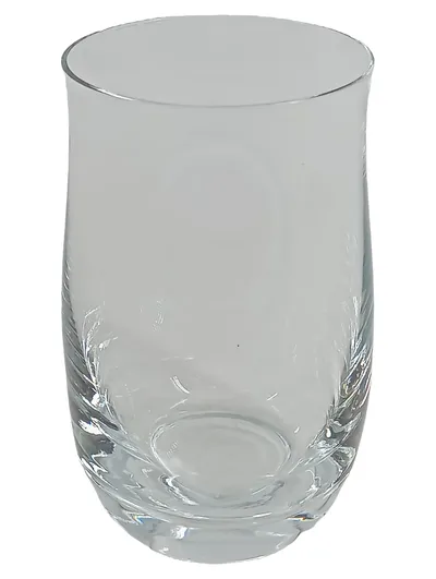WMF Trinkglas Wasserglas Transparent Elegant 300ml Glas