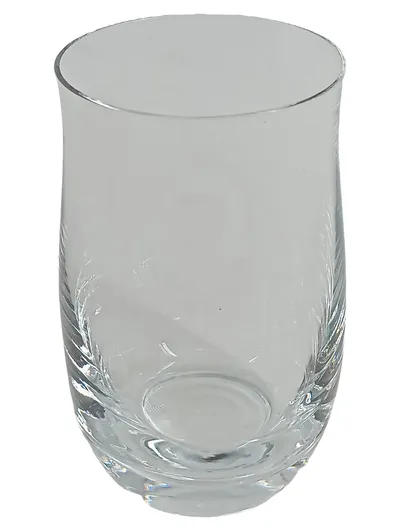 WMF Trinkglas Wasserglas Transparent Elegant 300ml Glas