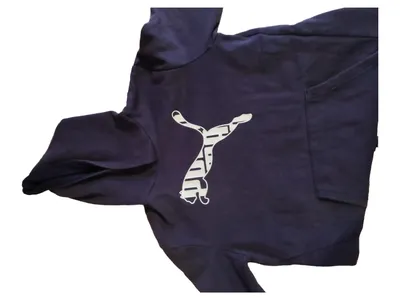 Puma Kinder Kapuzenpullover Hoodie Blau Gr. 164 Sportlich