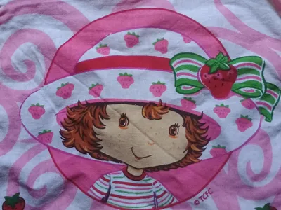 Strawberry Shortcake Topflappen Baumwolle Pink Schleife Farbenfroh Küche