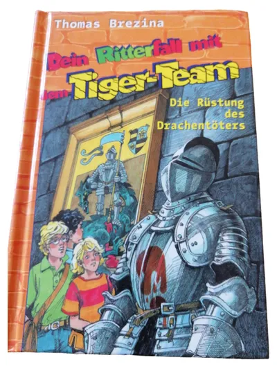 Thomas Brezina Dein Team Ritterfall Drachentöter Jugendbuch Fantasy HC Deutsch