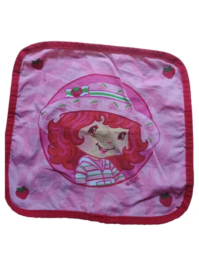 Strawberry Shortcake Tuch Stoff Kinder Rosa Nostalgisch Blumenmuster Alltag
