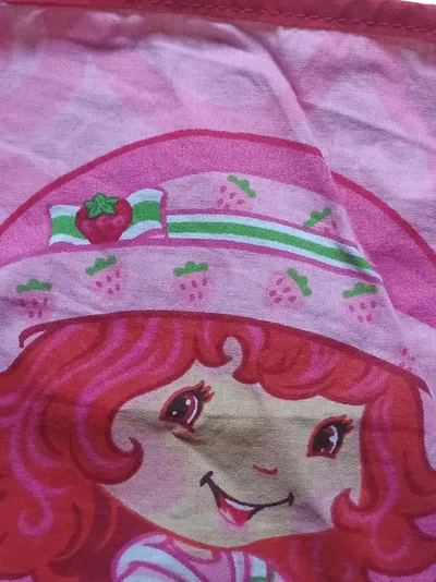 Strawberry Shortcake Tuch Stoff Kinder Rosa Nostalgisch Blumenmuster Alltag