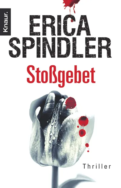 Erica Spindler Stoßgebet Thriller Taschenbuch Deutsch Cyberkriminalität Spannend