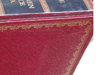 Grifino Weltgeschichte Renaissance Europa Band VI Antiquarisches Buch Hardcover