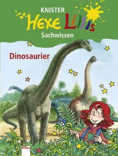Hexe Lilli Dinosaurier Urzeit von Knister Kindersachbuch Hardcover Deutsch