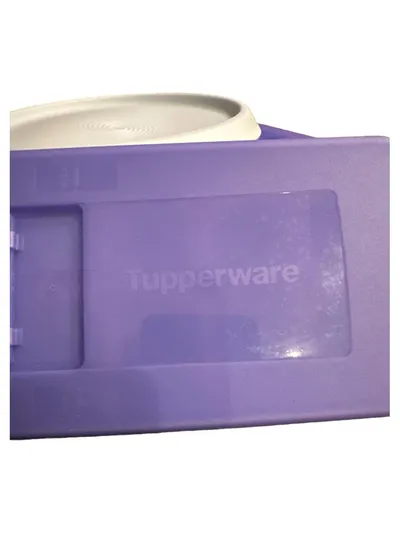 Tupperware Eiswürfelbehälter Eiswürfelform Lila Weiß mit Deckel