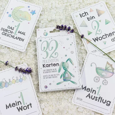 Skorpion Meilensteinkarten Baby 32 Stück Hase Punkte Geschenk Deutsch