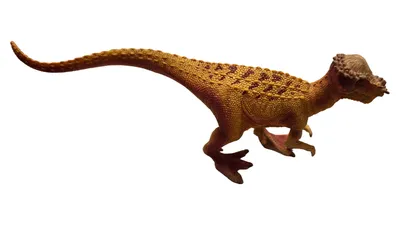 Schleich Pachycephalosaurus Reptilien Spielfigur Orange 24 cm Dinosaurier