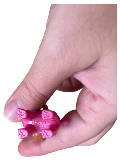 Spin Master Paw Patrol Skye Spielfigur Hund Pink 4 cm