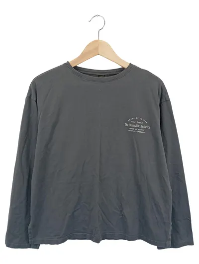 DAZY Herren Langarmshirt Grau Gr. 46/S Minimalistisch Streetwear Schriftzug