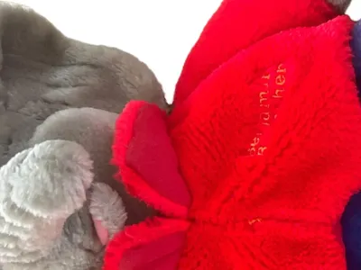 Fashy Elefant Elektronisches Kuscheltier Plüsch 49cm Mehrfarbig Kinder