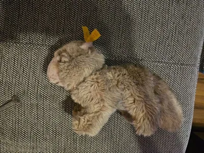 Steiff Plüschtier Hase Kuscheltier Beige Knopf im Ohr 17 cm