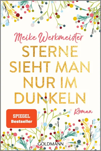 Sterne sieht man nur im Dunkeln Meike Werkmeister Roman Goldmann Bestseller