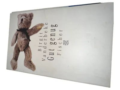 Birgit Vanderbeke Gut genug Roman Geschenkbuch Taschenbuch Fischer