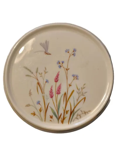 Eschenbach Platzteller Porzellan Oval Klassisch Blumen Libelle 16,5 cm