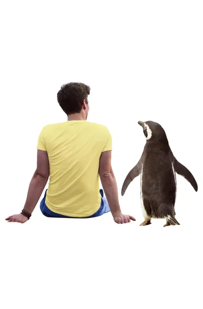 Fischer Taschenbuch Der Pinguin meines Lebens Wahre Tierfreundschaft Biografie