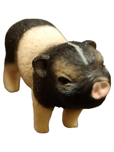 Schleich Spielfigur Schwein Miniatur Mehrfarbig 4cm Tier Spielzeug