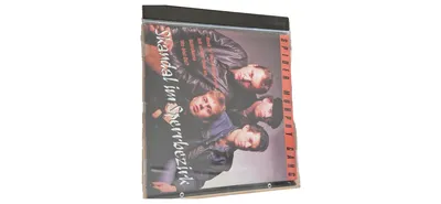 Spider Murphy Gang Skandal im Sperrbezirk CD Rockmusik Neue Deutsche Welle