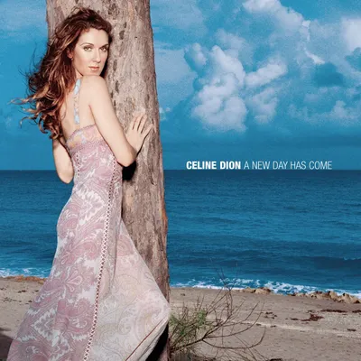 Celine Dion - A Day Has Come CD Album Popmusik
