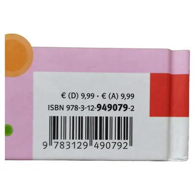 Das Bibi-Blocksberg-Fanbuch Original Kinderbuch Klett Verlag