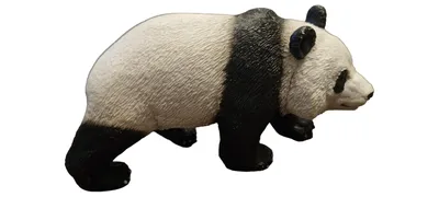 Schleich Panda Spielfigur Tierfigur Kinder Spielzeug Mehrfarbig