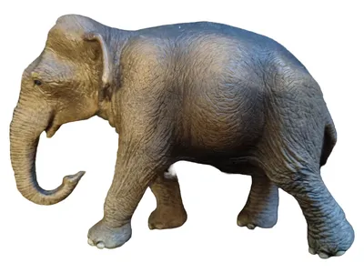 Schleich Elefant Spielfigur Grau 16cm Wildtier Kinder Spielzeug