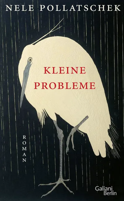 Kleine Probleme Nele Pollatschek Galiani Berlin Gesellschaftsroman Buch Deutsch