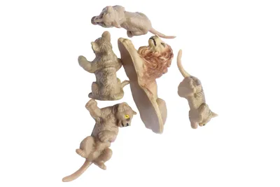 MAROLIN MANUFAKTUR Löwe Spielfiguren Set 5 Teile Beige Tiere Savanne