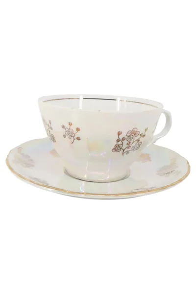KAHLA Tasse und Unterteller Porzellan Mehrfarbig Blumenmuster Elegant Vintage