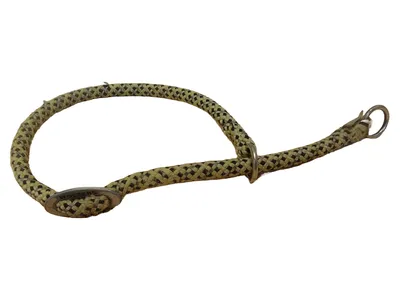 Wolters Hundehalsband Tauhalsband Zugstopp Beige Gr. 50 Gebraucht