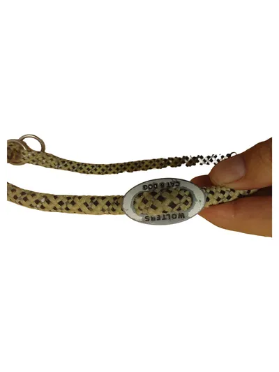 Wolters Hundehalsband Tauhalsband Zugstopp Beige Gr. 50 Gebraucht
