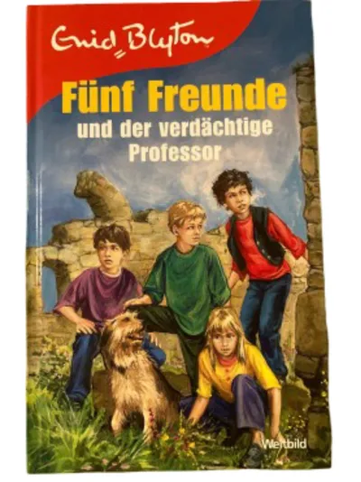 Enid Blyton Fünf Freunde und der verdächtige Professor Taschenbuch Jugendbuch