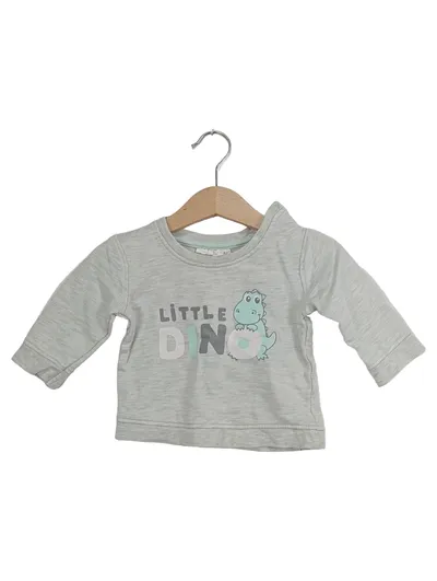 Ergee Baby Langarmshirt Little Dino Gr. 68 Grau Dinosaurier